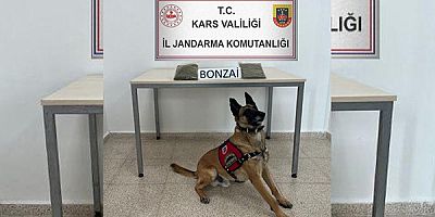 Kars’ta, Jandarmadan uyuşturucu operasyonu