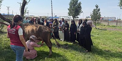 Kars'ta Kadın Çiftçilere Süt Sağım ve Hijyen Eğitimi Verildi