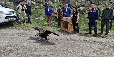 Kars’ta Kara Akbaba ve Bozkır Kartalı doğaya salındı