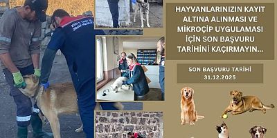 Kars’ta Kuduz Aşılaması ve Mikroçip ile Kimliklendirme Çalışmaları Sürüyor