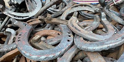 Kars'ta Nalbantlık yok olma tehlikesiyle karşı karşıya...