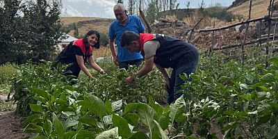 Kars’ta Sebze Fidesi Dağıtımı Projesi Meyvelerini Veriyor
