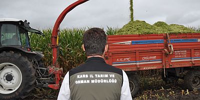Kars’ta silajlık mısır hasadı başladı