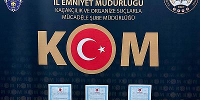 Kars'ta Tefeci operasyonu: 10 gözaltı