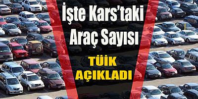 Kars'ta trafiğe kayıtlı araç sayısı toplamda 46 bin 910 oldu