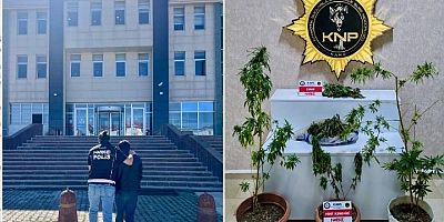 Kars’ta Uyuşturucu Operasyonu