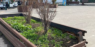 Kars'ta Valilik Parkı’nın hali içler acısı...