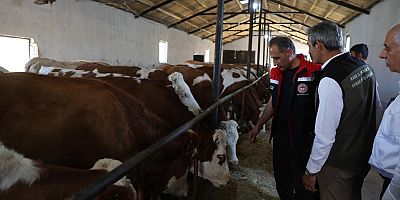 Kars Tarım İl Müdürü Enver Aydın, Kağızman’da...
