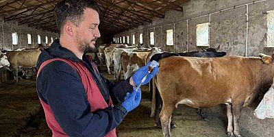 Kars Tarım Müdürlüğü'nden Hayvan Sağlığında Kararlı Mücadele