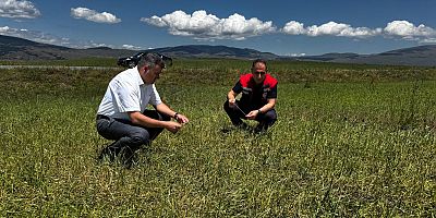 Kars Tarım Müdürü Enver Aydın, Dolu Zararını Yerinde İnceledi