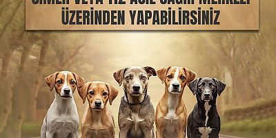 Kars Valiliği’nden Sahipsiz Hayvanlar İçin Önemli Duyuru