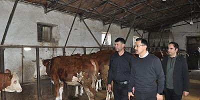 Kaymakam Demirtaş’tan Hayvan İşletmesine Ziyaret