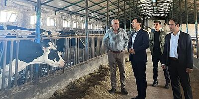 Kaymakam İsmail Demirtaş’tan Hayvan İşletmesine Ziyaret