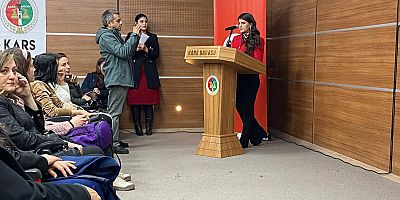 “KIRILAN SESSİZLİK” adlı  panel  Kars'ta düzenlendi