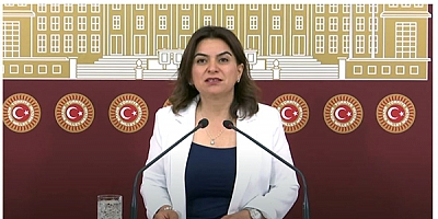 Koçyiğit, Kars Otobüs Terminali için yazılı soru önergesi sundu