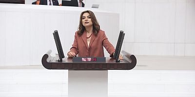 Koçyiğit, Yaşlılık Politikaları Araştırma Komisyonu Kurulmasını Önerdi