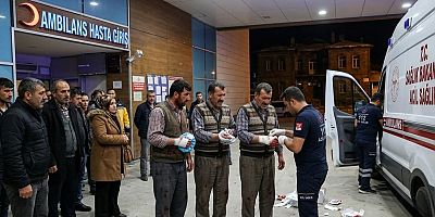 Kurban Bayramı'nın 