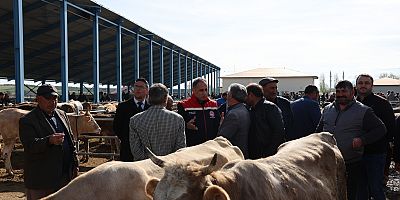 Kurban Bayramı öncesi Selim Hayvan Pazarı'nda denetim
