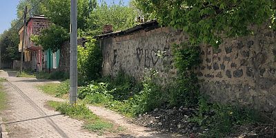 Mahalle Sakinlerinden Yabani Ot Tepkisi: 