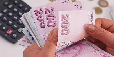 Maliye Yüksek Gelirli 16 Bin Mükellefi Takibe Aldı