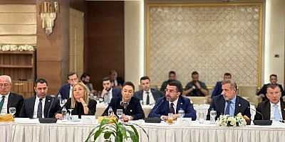 Kars Milletvekili Adem Çalkın, Bakan Tunç'un düzenlediği Bölge İstişare toplantısına katıldı