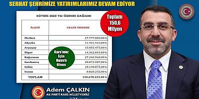 Milletvekili Çalkın: 