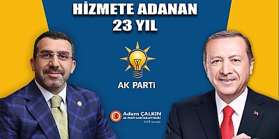 Milletvekili Çalkın, 