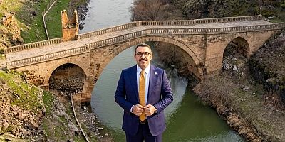 Milletvekili Çalkın, 