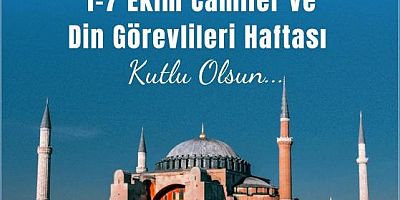 Milletvekili Çalkın, 