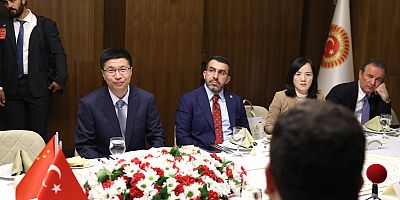 Milletvekili Çalkın, 