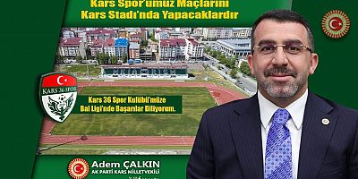 Milletvekili Çalkın, 
