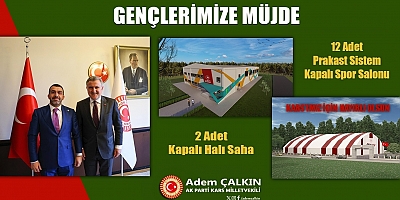 Milletvekili Çalkın, 