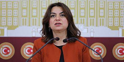 Milletvekili Koçyiğit, TBMM’ye kapsamlı soru önergeleri sundu