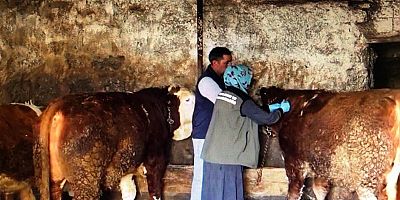 Şap aşısı yapmayı unutmayın!