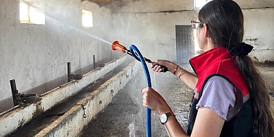 Şap Hastalığına Karşı Yoğun ilaçlama Mücadelesi Sürüyor