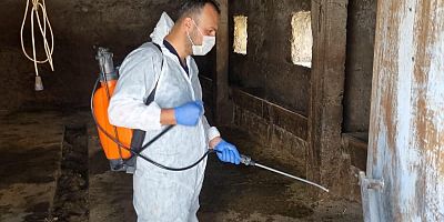 Sarıkamış İlçe Tarım ve Orman Müdürlüğü Ekipleri Sahada