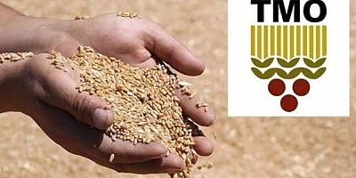TMO 2026 Yılı Çeltik Alım Fiyatlarını Belirledi