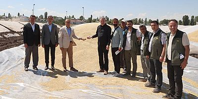 TMO, Kars’ta 20 bin ton ürün aldı