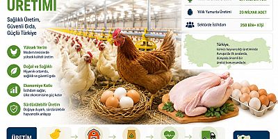 TÜİK, Kümes Hayvancılığı Üretiminde Nisan Ayı Verileri Açıkladı