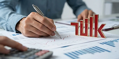 TÜİK Mali Aracı Kuruluş İstatistiklerini Açıkladı