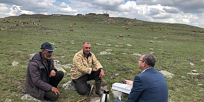 Kars Valisi Ziya Polat, çobanlarla sohbet edip, çay içti