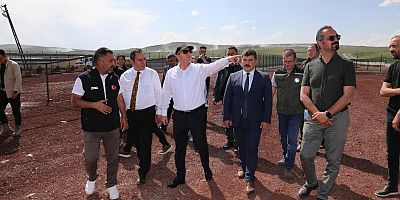 Vali Ziya Polat, Doğal Yaşam Alanı’ndaki çalışmaları inceledi