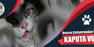 Vali Ziya Polat Sürücülere seslendi; ''Aracımızı çalıştırmadan önce lütfen kaputa vuralım''