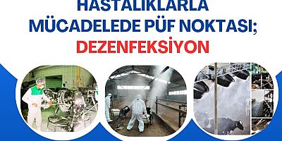  Viral Hastalıklara Karşı Kalkanımız: Adım Adım Doğru Dezenfeksiyon