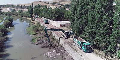 Yeşil karıncalar Kars çayını taşkınlara karşı temizliyor