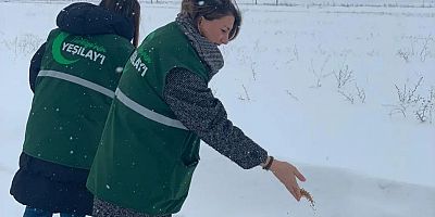Yeşilay Kars Şubesi’nden Kanatlı Dostlara 