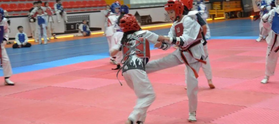 Taekwondo’nun Kalbi Kars’ta Attı