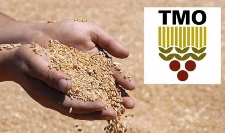 TMO 2026 Yılı Çeltik Alım Fiyatlarını Belirledi