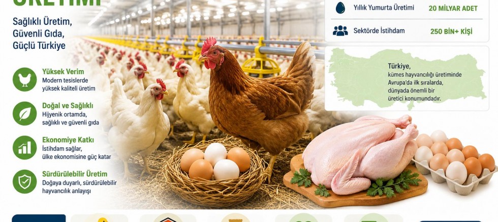 TÜİK, Kümes Hayvancılığı Üretiminde Nisan Ayı Verileri Açıkladı