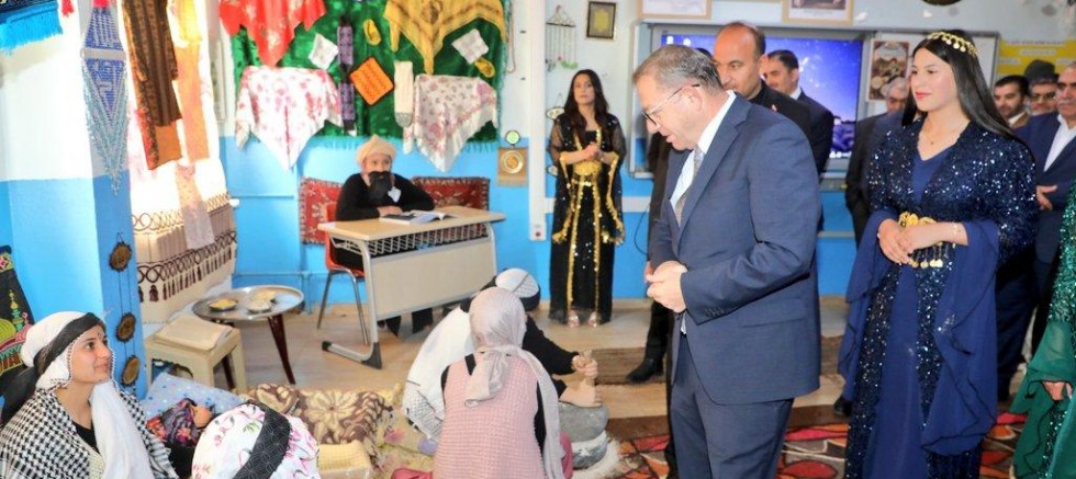 Vali Ziya Polat, 